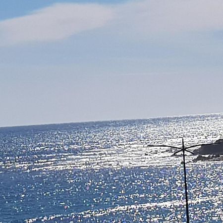 Ajaccio Centre Vieille Ville Imperiale Tt Confort Ttes Commodites 3 A 4 Pers Cathedrale A 300M Mer Port Marche Local Plages Екстериор снимка